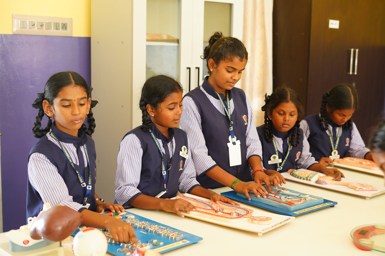 South Spring International School