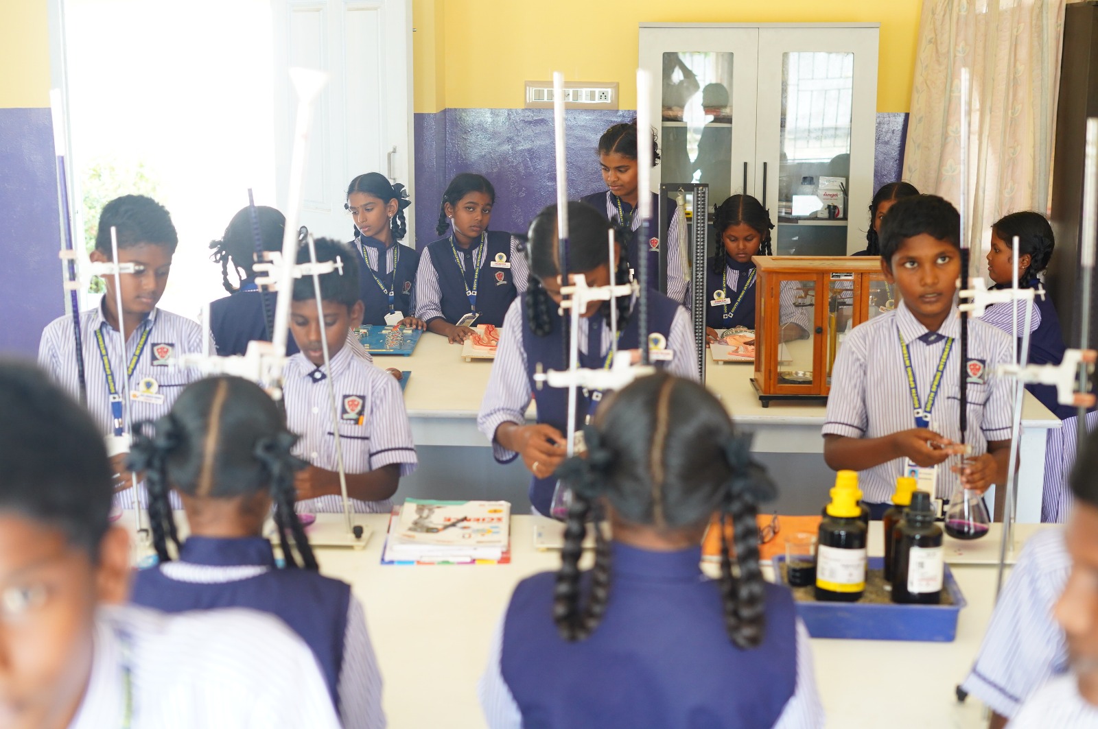 South Spring International School